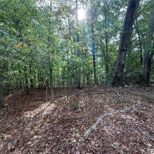 Photo #12 of 6700 Lot 25+/- Acres Doral, Tobaccoville, NC 25.0 acres
