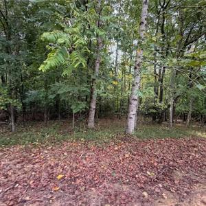 Photo #26 of 6700 Lot 25+/- Acres Doral, Tobaccoville, NC 25.0 acres