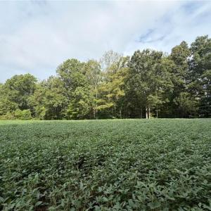 Photo #36 of 6700 Lot 25+/- Acres Doral, Tobaccoville, NC 25.0 acres