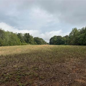 Photo #1 of 6700 Lot 25+/- Acres Doral, Tobaccoville, NC 25.0 acres