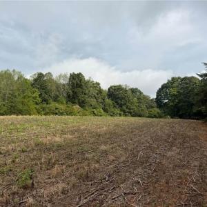 Photo #5 of 6700 Lot 25+/- Acres Doral, Tobaccoville, NC 25.0 acres