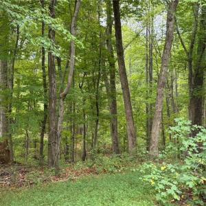 Photo #20 of 6700 Lot 25+/- Acres Doral, Tobaccoville, NC 25.0 acres