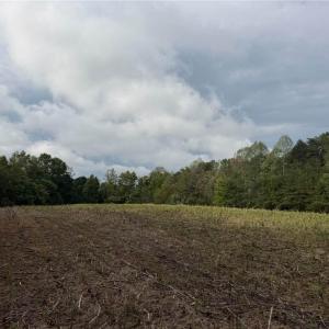 Photo #9 of 6700 Lot 25+/- Acres Doral, Tobaccoville, NC 25.0 acres