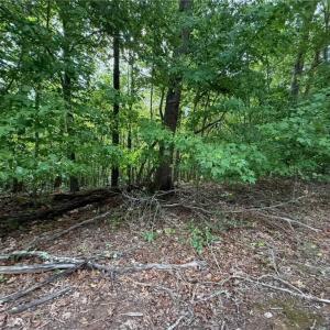 Photo #24 of 6700 Lot 25+/- Acres Doral, Tobaccoville, NC 25.0 acres