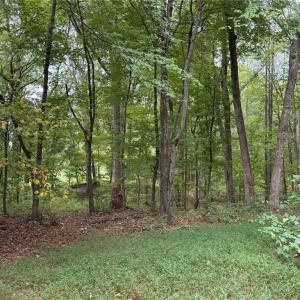 Photo #30 of 6700 Lot 25+/- Acres Doral, Tobaccoville, NC 25.0 acres