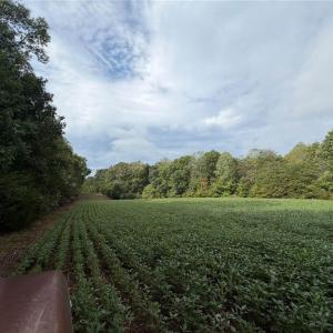 Photo #33 of 6700 Lot 25+/- Acres Doral, Tobaccoville, NC 25.0 acres