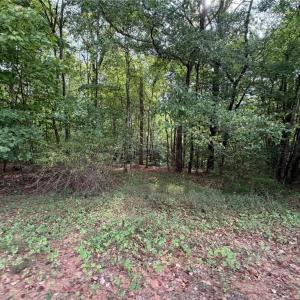 Photo #14 of 6700 Lot 25+/- Acres Doral, Tobaccoville, NC 25.0 acres