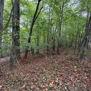 Photo #37 of 6700 Lot 25+/- Acres Doral, Tobaccoville, NC 25.0 acres