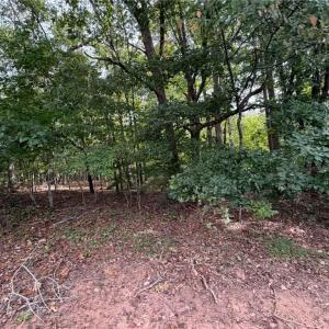Photo #15 of 6700 Lot 25+/- Acres Doral, Tobaccoville, NC 25.0 acres
