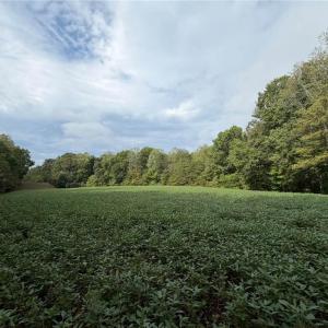 Photo #35 of 6700 Lot 25+/- Acres Doral, Tobaccoville, NC 25.0 acres