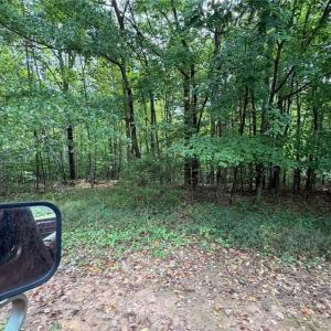 Photo #31 of 6700 Lot 25+/- Acres Doral, Tobaccoville, NC 25.0 acres