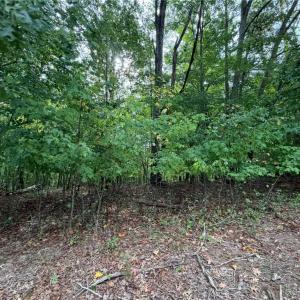 Photo #29 of 6700 Lot 25+/- Acres Doral, Tobaccoville, NC 25.0 acres