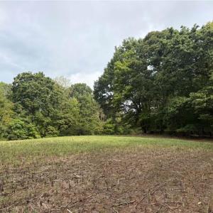Photo #8 of 6700 Lot 25+/- Acres Doral, Tobaccoville, NC 25.0 acres