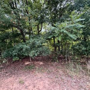 Photo #25 of 6700 Lot 25+/- Acres Doral, Tobaccoville, NC 25.0 acres