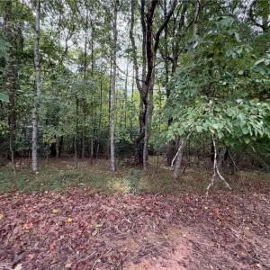 Photo #21 of 6700 Lot 25+/- Acres Doral, Tobaccoville, NC 25.0 acres