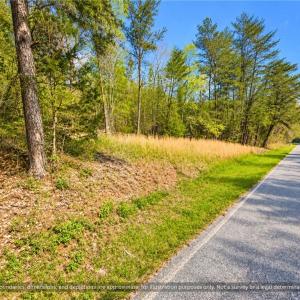 Wooded Road Frontage Country Land Orange County. Roadside view of mature hardwoods and pines along the paved frontage. Private wooded country land for a home, cabin or weekend retreat near Saxapahaw and the Haw River.