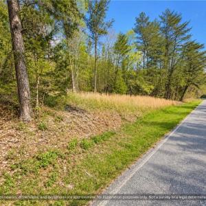 Hardwood and Pine Woods on 20.65 Acres NC. Mature trees and a grassy shoulder along the frontage. Wooded acreage with privacy for a custom site-built, modular or manufactured home (county rules apply).