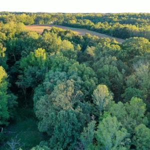 Photo #23 of 61.8 Acres Spearman, Browns Summit, NC 61.8 acres