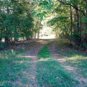 Photo #13 of 61.8 Acres Spearman, Browns Summit, NC 61.8 acres