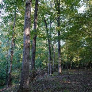 Photo #26 of 61.8 Acres Spearman, Browns Summit, NC 61.8 acres
