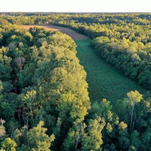 Photo #22 of 61.8 Acres Spearman, Browns Summit, NC 61.8 acres