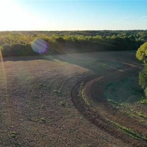Photo #7 of 61.8 Acres Spearman, Browns Summit, NC 61.8 acres