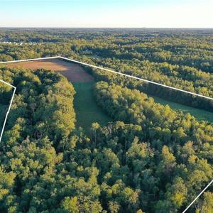 Photo #3 of 61.8 Acres Spearman, Browns Summit, NC 61.8 acres