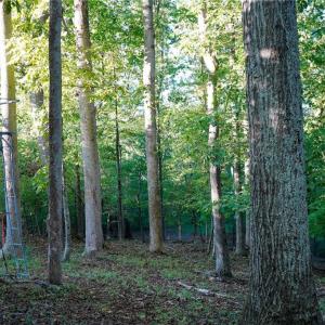Photo #36 of 61.8 Acres Spearman, Browns Summit, NC 61.8 acres
