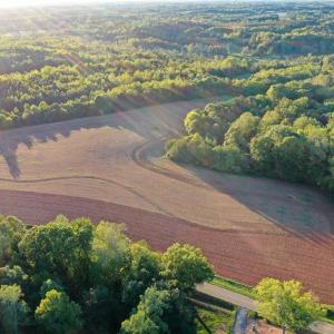 Photo #1 of 61.8 Acres Spearman, Browns Summit, NC 61.8 acres