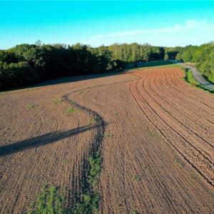Photo #5 of 61.8 Acres Spearman, Browns Summit, NC 61.8 acres