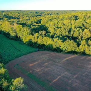 Photo #9 of 61.8 Acres Spearman, Browns Summit, NC 61.8 acres