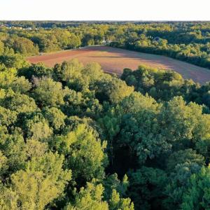 Photo #24 of 61.8 Acres Spearman, Browns Summit, NC 61.8 acres