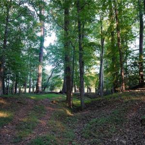 Photo #30 of 61.8 Acres Spearman, Browns Summit, NC 61.8 acres