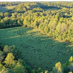 Photo #10 of 61.8 Acres Spearman, Browns Summit, NC 61.8 acres