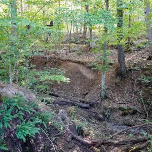 Photo #14 of 61.8 Acres Spearman, Browns Summit, NC 61.8 acres