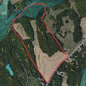 Photo #37 of 61.8 Acres Spearman, Browns Summit, NC 61.8 acres