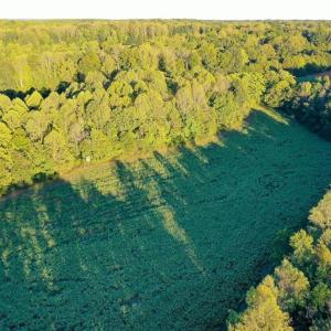Photo #11 of 61.8 Acres Spearman, Browns Summit, NC 61.8 acres