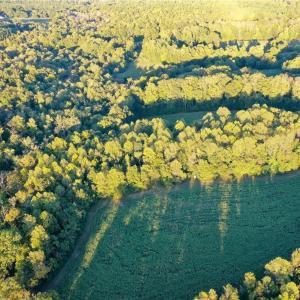 Photo #19 of 61.8 Acres Spearman, Browns Summit, NC 61.8 acres