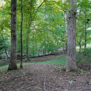 Photo #31 of 61.8 Acres Spearman, Browns Summit, NC 61.8 acres