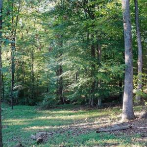 Photo #29 of 61.8 Acres Spearman, Browns Summit, NC 61.8 acres