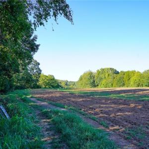 Photo #8 of 61.8 Acres Spearman, Browns Summit, NC 61.8 acres