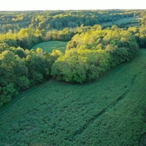 Photo #25 of 61.8 Acres Spearman, Browns Summit, NC 61.8 acres
