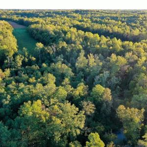 Photo #21 of 61.8 Acres Spearman, Browns Summit, NC 61.8 acres