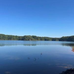 Photo #12 of LOT 19 Sugar Tree Landing, Roxboro, NC 0.8 acres