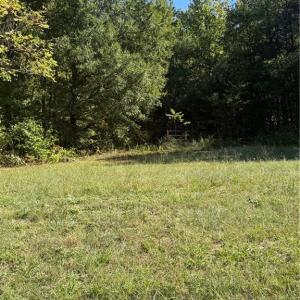 Photo #2 of 7544 US Highway 29, Browns Summit, NC 8.6 acres