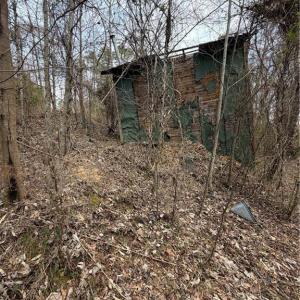 Photo #6 of 7544 US Highway 29, Browns Summit, NC 8.6 acres