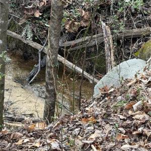 Photo #13 of 7544 US Highway 29, Browns Summit, NC 8.6 acres