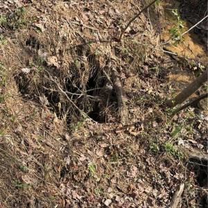 Photo #5 of 7544 US Highway 29, Browns Summit, NC 8.6 acres