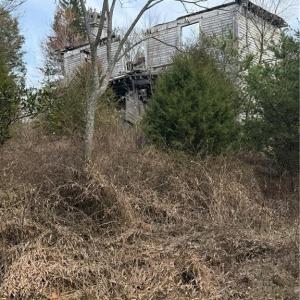 Photo #9 of 7544 US Highway 29, Browns Summit, NC 8.6 acres