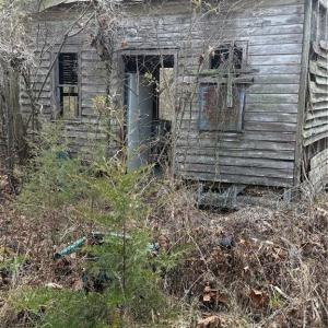 Photo #10 of 7544 US Highway 29, Browns Summit, NC 8.6 acres